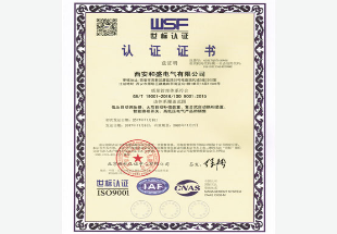 9001认证中文版